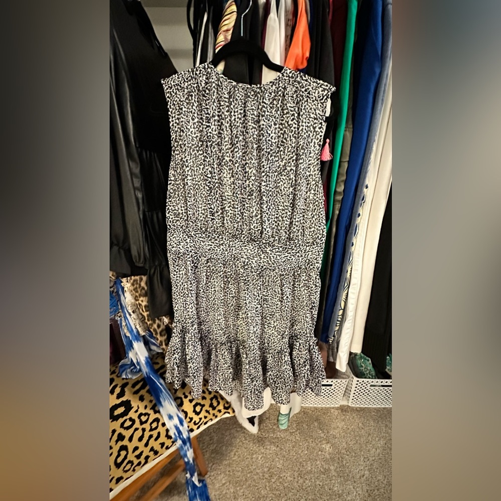 Express sleeveless dress